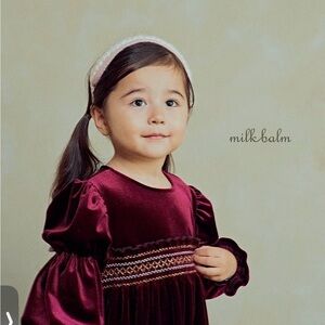 Toddler wine color velvet dress